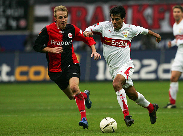 应能力的终 应能力的终