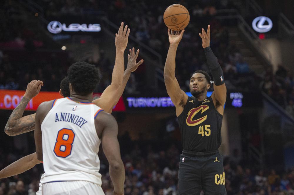 尽管砍下了 尽管砍下了